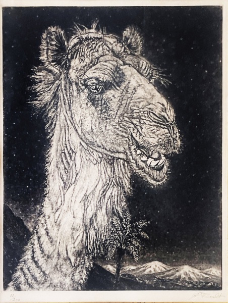 Kaameli pea 88/200, Eduard Wiiralt